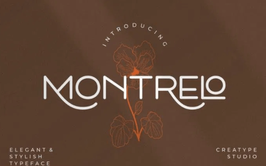 Montrelo Elegant Sans Serif Font