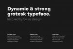 Montreux Grotesk Superfamily