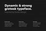 Montreux Grotesk Superfamily