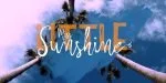 Moodnight Script Regular