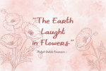 Moonrise Font
