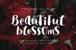 Morina Rosella Font