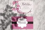 Morisita Elegant Script Font