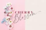 Morning Flower Duo Font