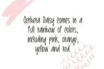 Morning Gerbera Daisy Font