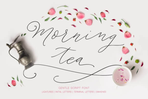 Morning Tea Script Font