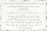 Morri Belle Script