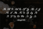 Morrie Swiss Font