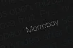 Morrobay Unique Typeface with Web-fonts