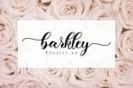 Motherlove Font
