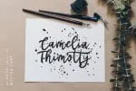 Mottas Script Font