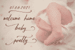 Motty Pybed Font