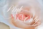 Mounday Calligraphy Font