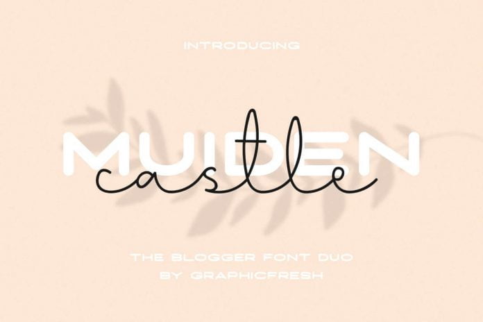Muiden Castle - The Blogger Font Duo