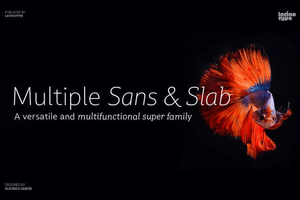 Multiple Sans & Slab by Latinotype