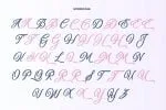 München - Decorative Script Font