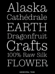 Municipal Font Family