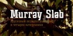 Murray Slab Font