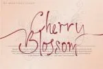 My Beautiful Story Font