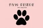 My Friend Dalmatian Display Font