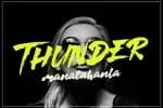 My Honey Brush Font Duo