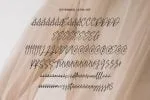 Mylestock Signature Script Font