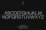 NF Chimaera - Grotesque Sans Serif