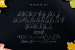 Kathilass - Signature Font