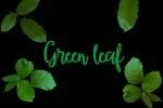 Nadine Script Font