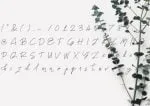 Names Font