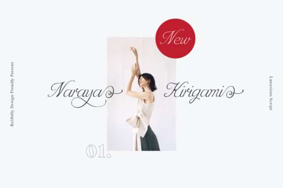 Naraya Kirigami Font