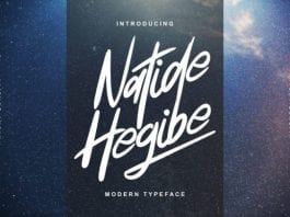 Natide Hegibe Modern Typeface Font