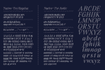 Native-Txt Font