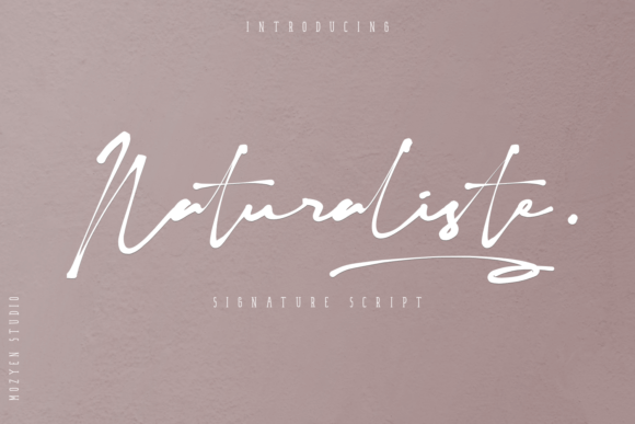 Naturaliste Font