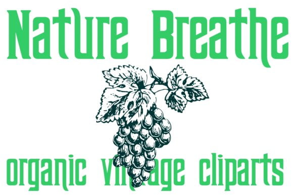 Nature Breathe Font