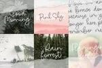 Nature Violces Script Font