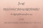 Nature of Beauty Font