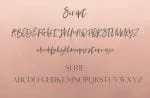 Nature of Beauty Font