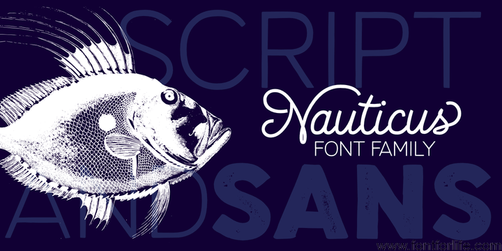 Nauticus Font Family