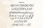 Neillgates Script Font