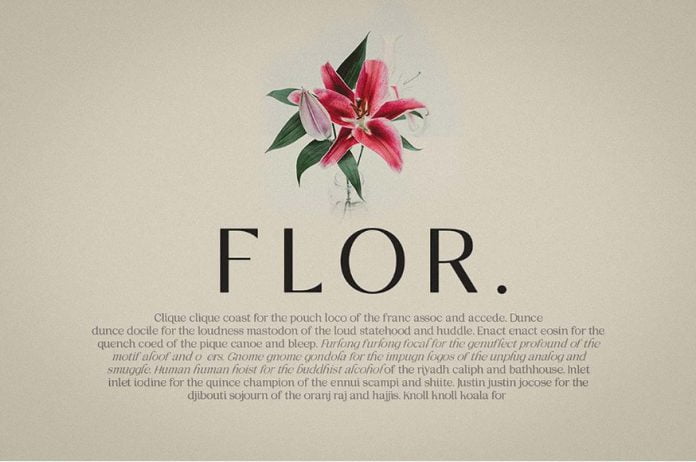 Nelphim - Modern Typeface Font