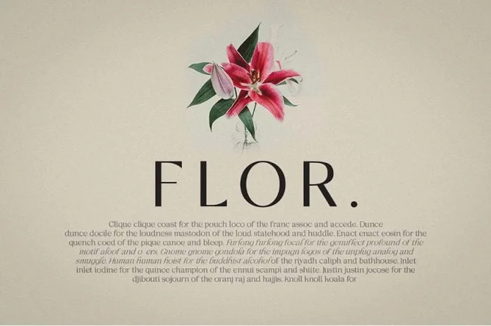 Nelphim - Modern Typeface Font