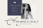 Netherfield - A Classic Script Font