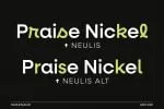 Neulis Font Family