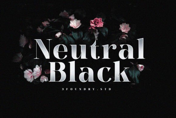 Neutral Black Font