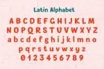 New Comer Sans Font