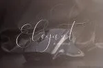 New England Script