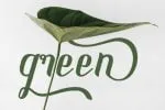 New Scraper Font