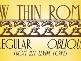 New Thin Roman JNL Font