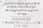 New Wishes Font
